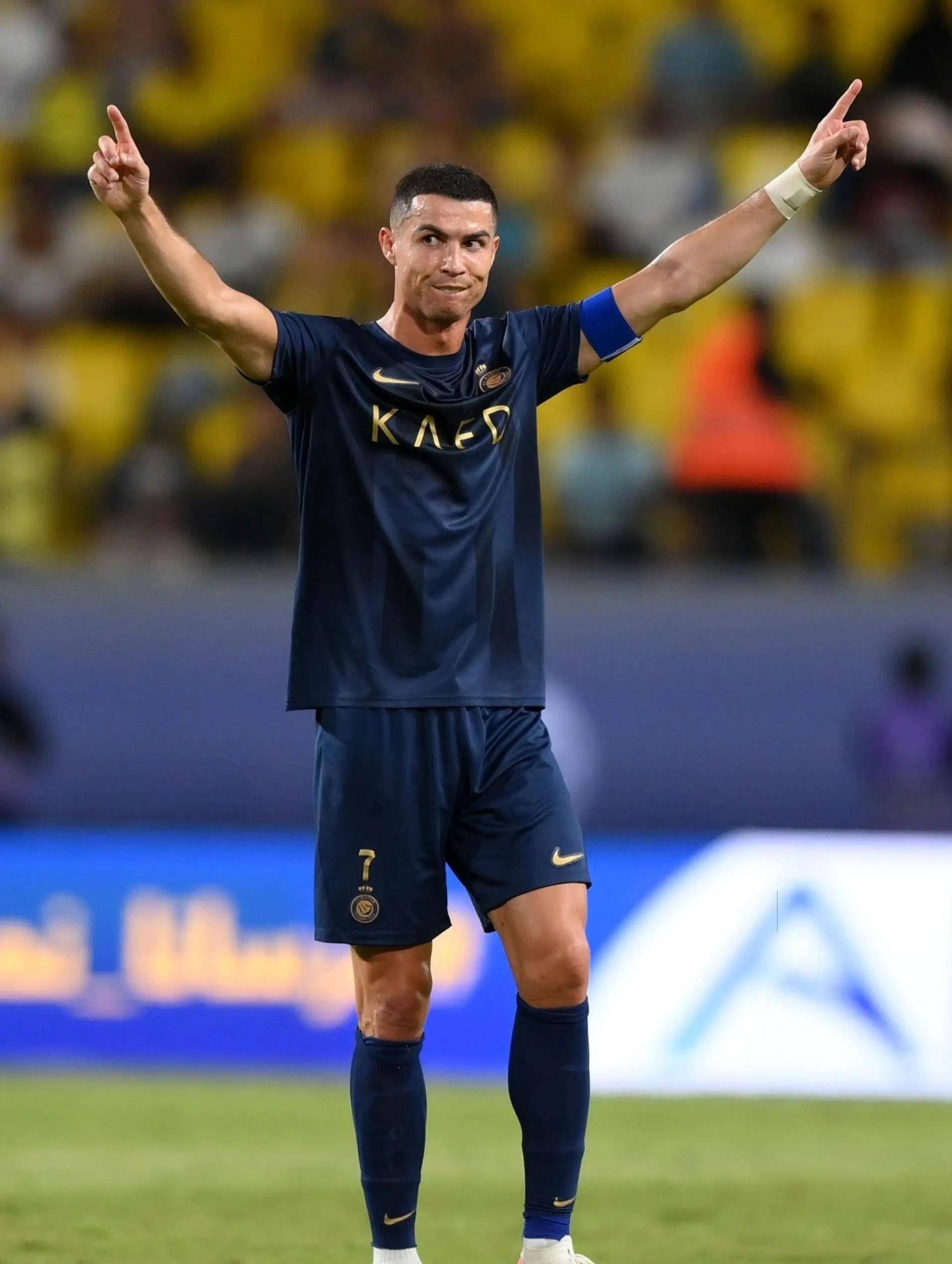 场与绩效条 场与绩效条