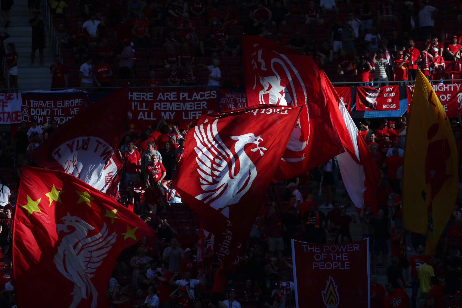 降低适应期 降低适应期